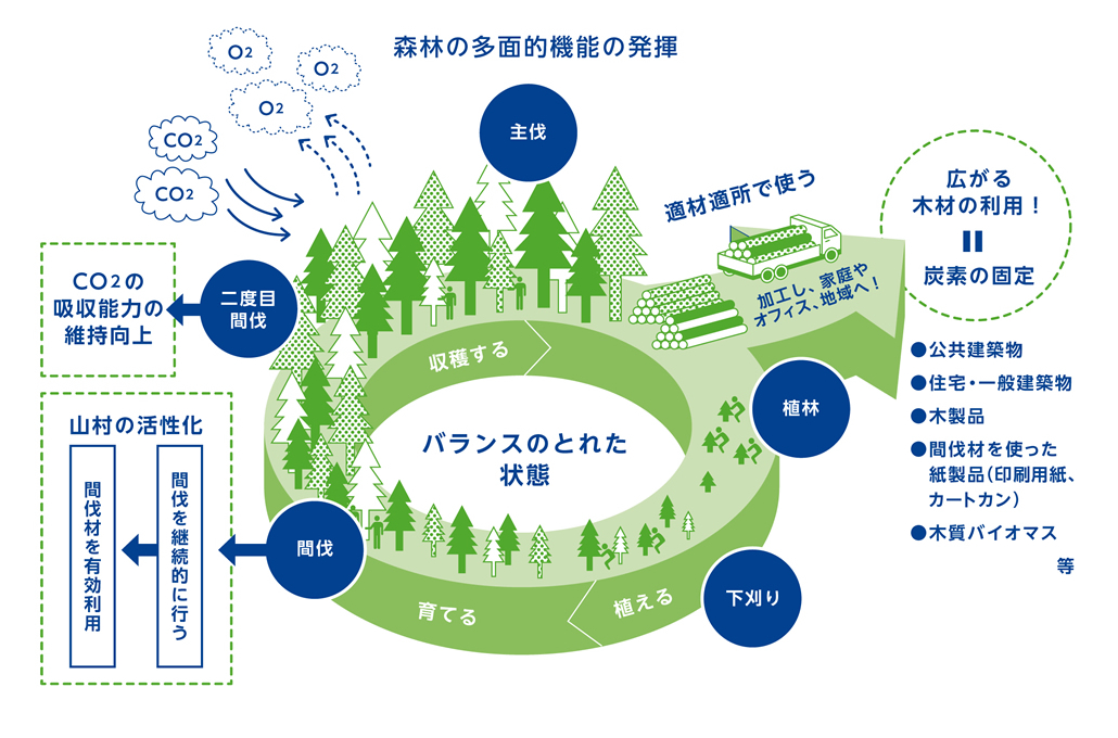 biomass